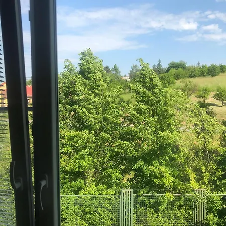 Dnm *