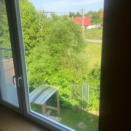 Dnm