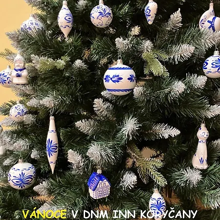 Dnm Korycany